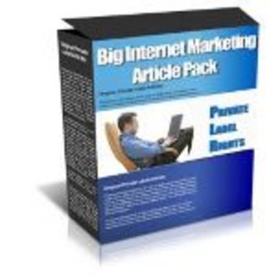 Product picture 200 Internet Marketing Article Pack PLR